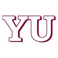 yu & associates logo image