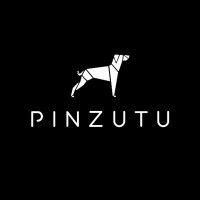 pinzutu films