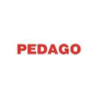 grupo pedago logo image