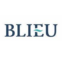 blieu companies logo image