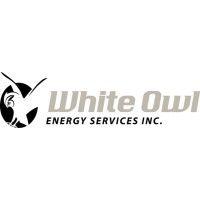 white owl energy services logo image