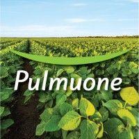 pulmuone foods usa, inc. logo image