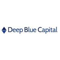 deep blue capital b.v.