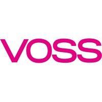 voss automotive bulgaria logo image