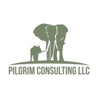 pilgrim consulting