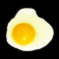 the yolk logo image