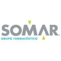 grupo somar logo image