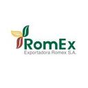 logo of Romex