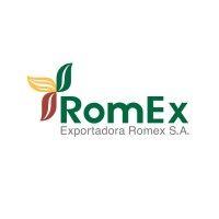 romex logo image