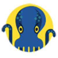 jetoctopus.com logo image