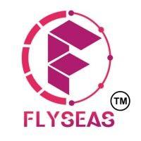 flyseas group logo image