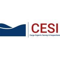 cargo experts survey & inspections