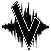 vital sound management logo image