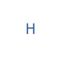 hh logo image