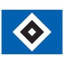 logo of Hsv