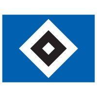 hsv logo image