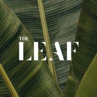 the leaf logo image