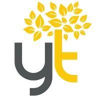 yellow tree executive search logo image