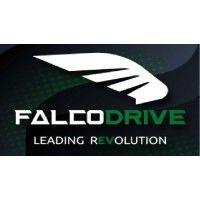 falcodrive logo image