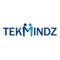 samin tekmindz india pvt. ltd. logo image