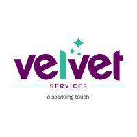 velvet services logo image