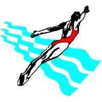 bayside swimming club logo image