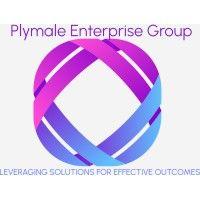 plymale enterprise group, llc logo image