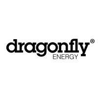 dragonfly energy corporation logo image