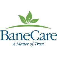 banecare management logo image