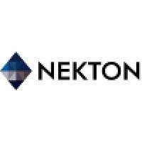 nekton group logo image