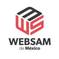 grupo websam de méxico logo image