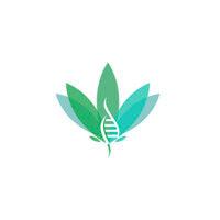 dr. cannabis educação logo image