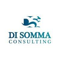 di somma consulting logo image