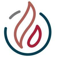 trial by fire solutions logo image