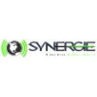 synergie tech solutions, llc logo image