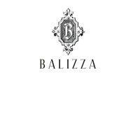 balizza logo image