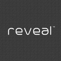 reveal lasers india logo image