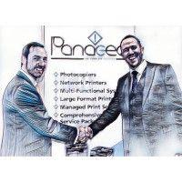 panacea business systems limited logo image