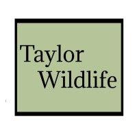 taylor wildlife logo image