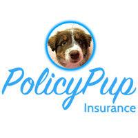 policypup logo image