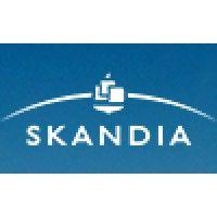 skandia inc logo image