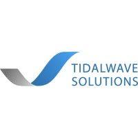 tidalwave solutions logo image