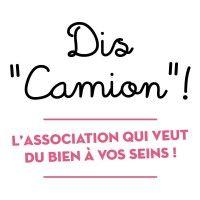 dis camion logo image