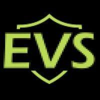 electravoyant systems ltd logo image