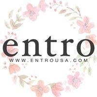 entro usa logo image