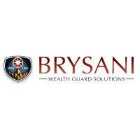 brysani corp logo image