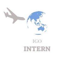 igointern logo image