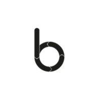 babbasa logo image