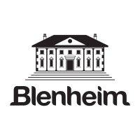 blenheim property logo image