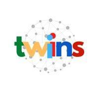 twins logo image